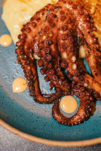 octopus